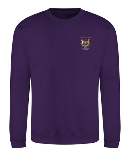 RVC Volleyball Sweat Shirt - Purple